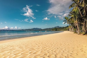 Een strand met heldere lucht, rustig water en palmbomen.