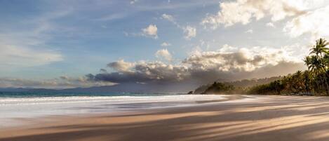 A beach with a wide sandy shore, a calm sea, and a line of palm trees in the background.