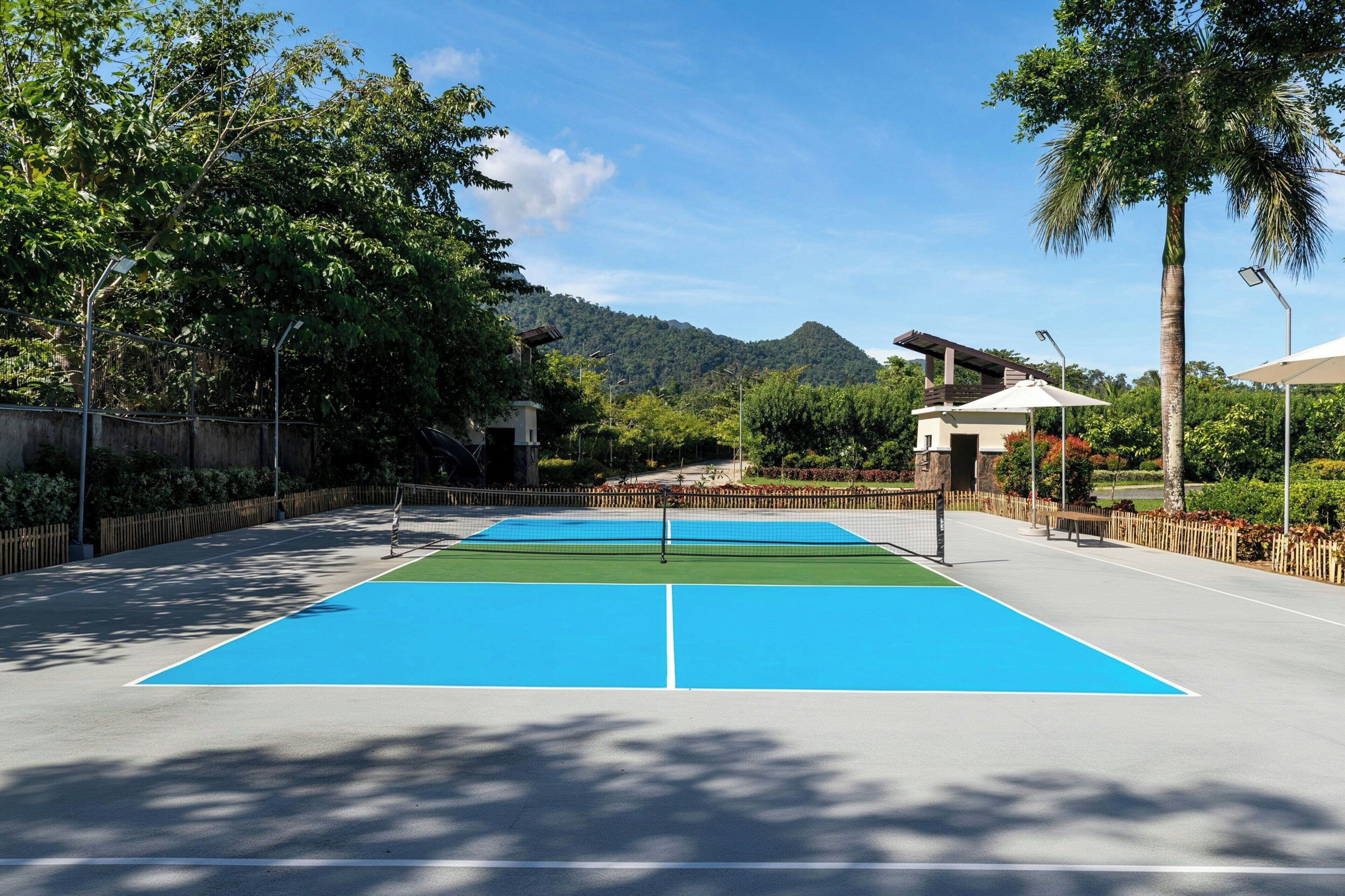 A tennis court with a net, surrounded by trees and a mountain in the background.