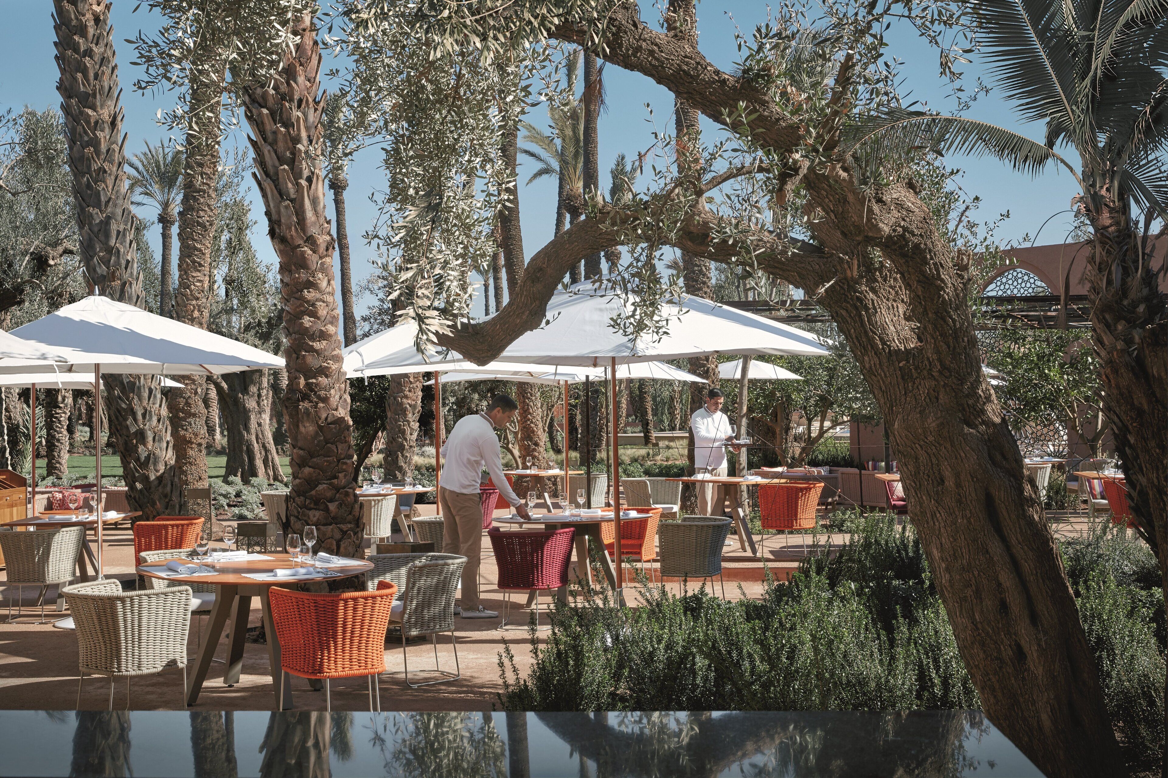 An outdoor dining area with tables and chairs, surrounded by palm trees and umbrellas.