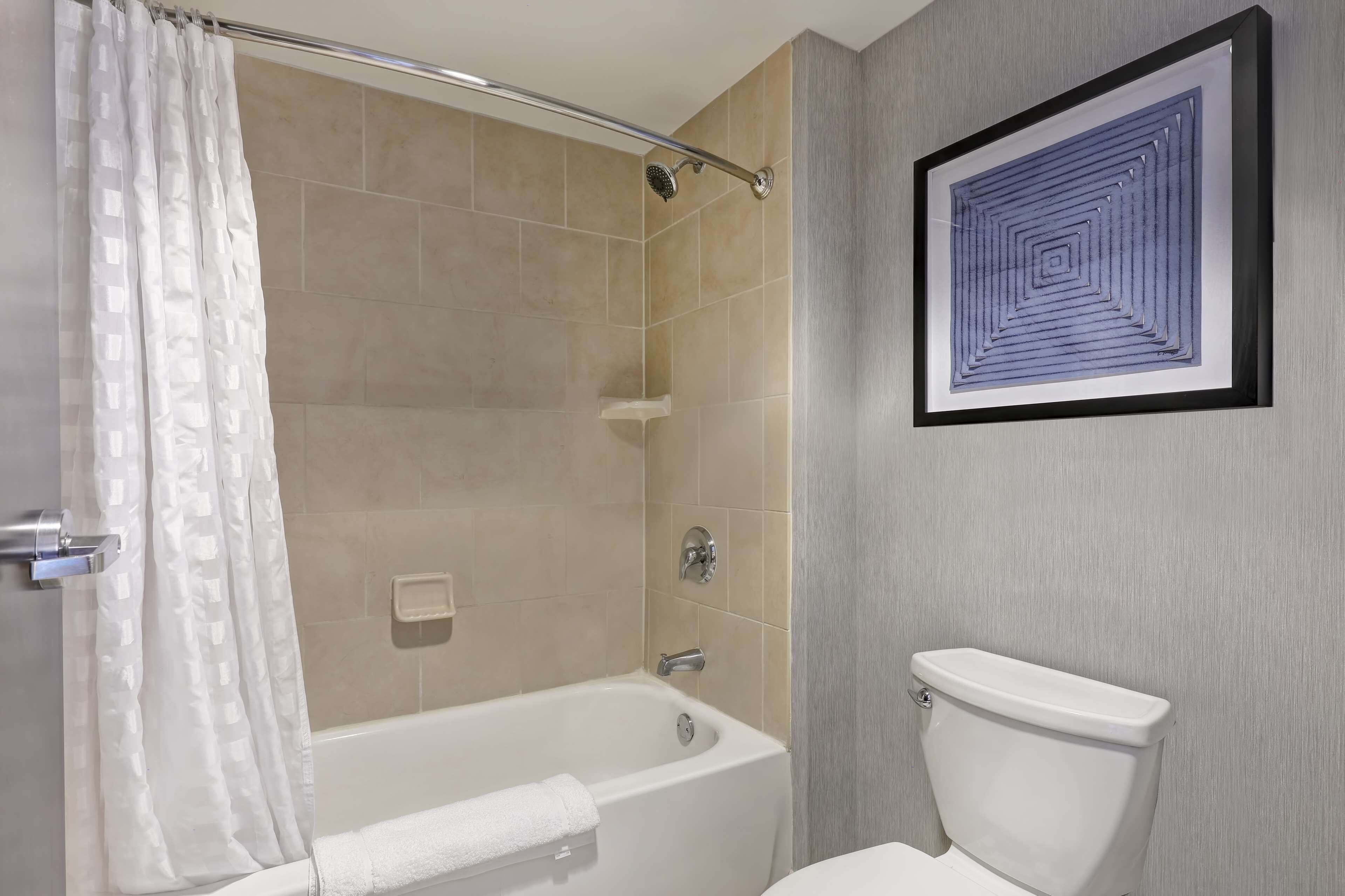 A bathroom with a bathtub, toilet, and a framed artwork on the wall.