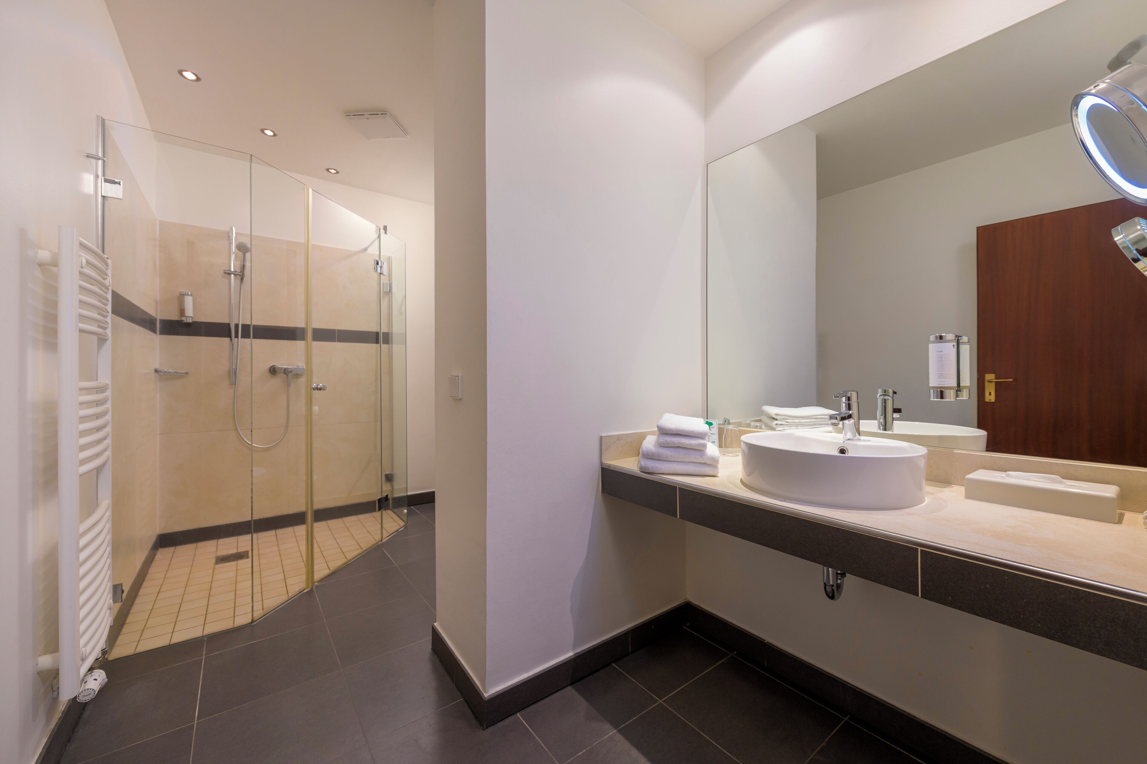 Een moderne badkamer met een douche met glazen wand, een grote spiegel en een witte wasbak.