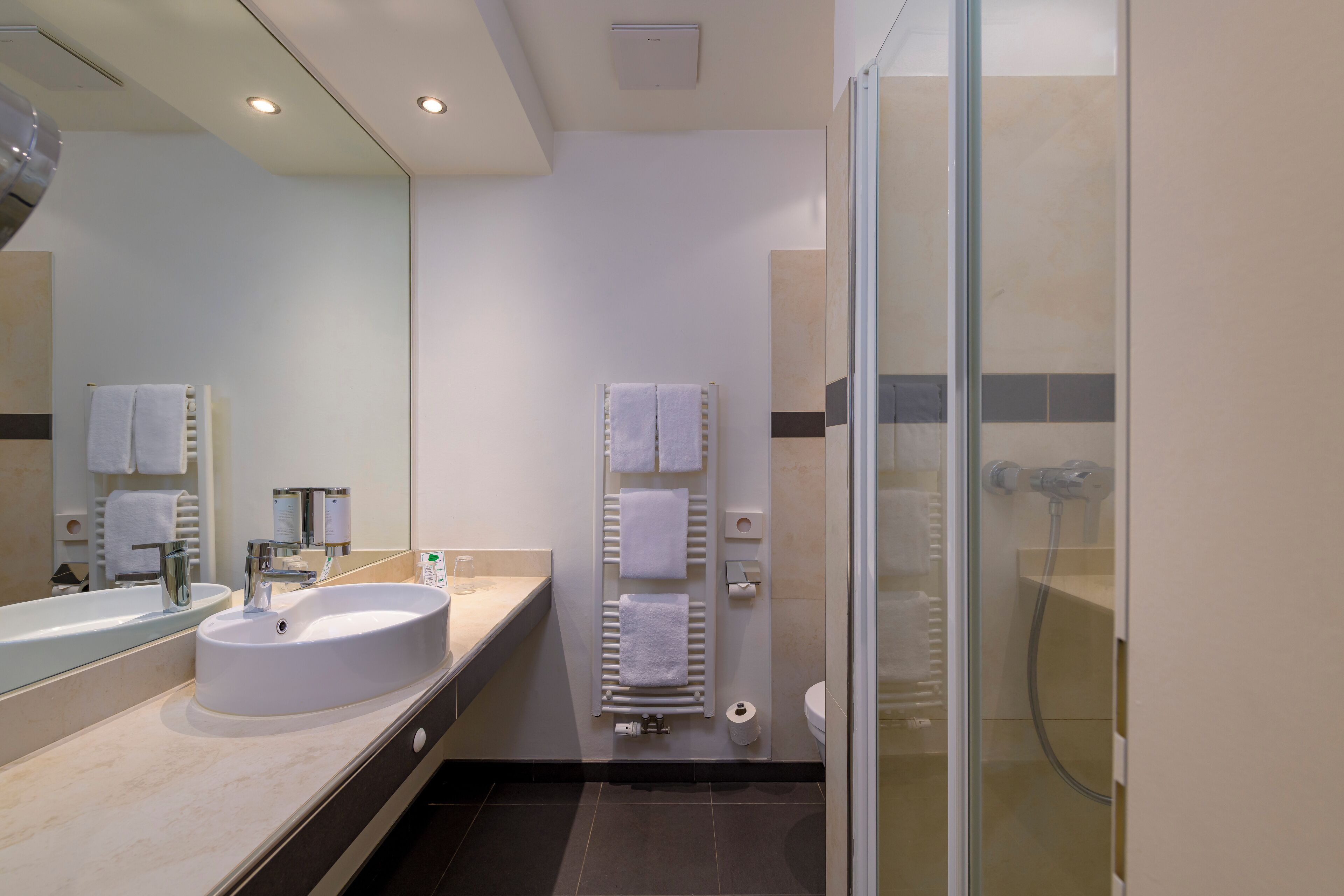A modern bathroom with a large sink, mirror, and glass shower enclosure.