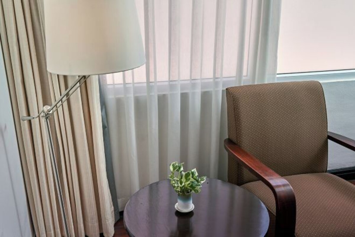 Habitación de hotel con una mesa redonda, una silla, una planta en maceta y una ventana con cortinas.