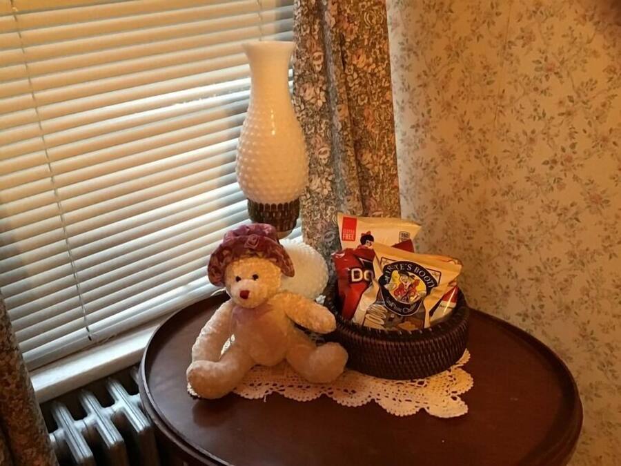 Een teddybeer, een witte vaas, en een mand met zakken hondenvoer op een tafel in de buurt van een raam met jaloezieën.