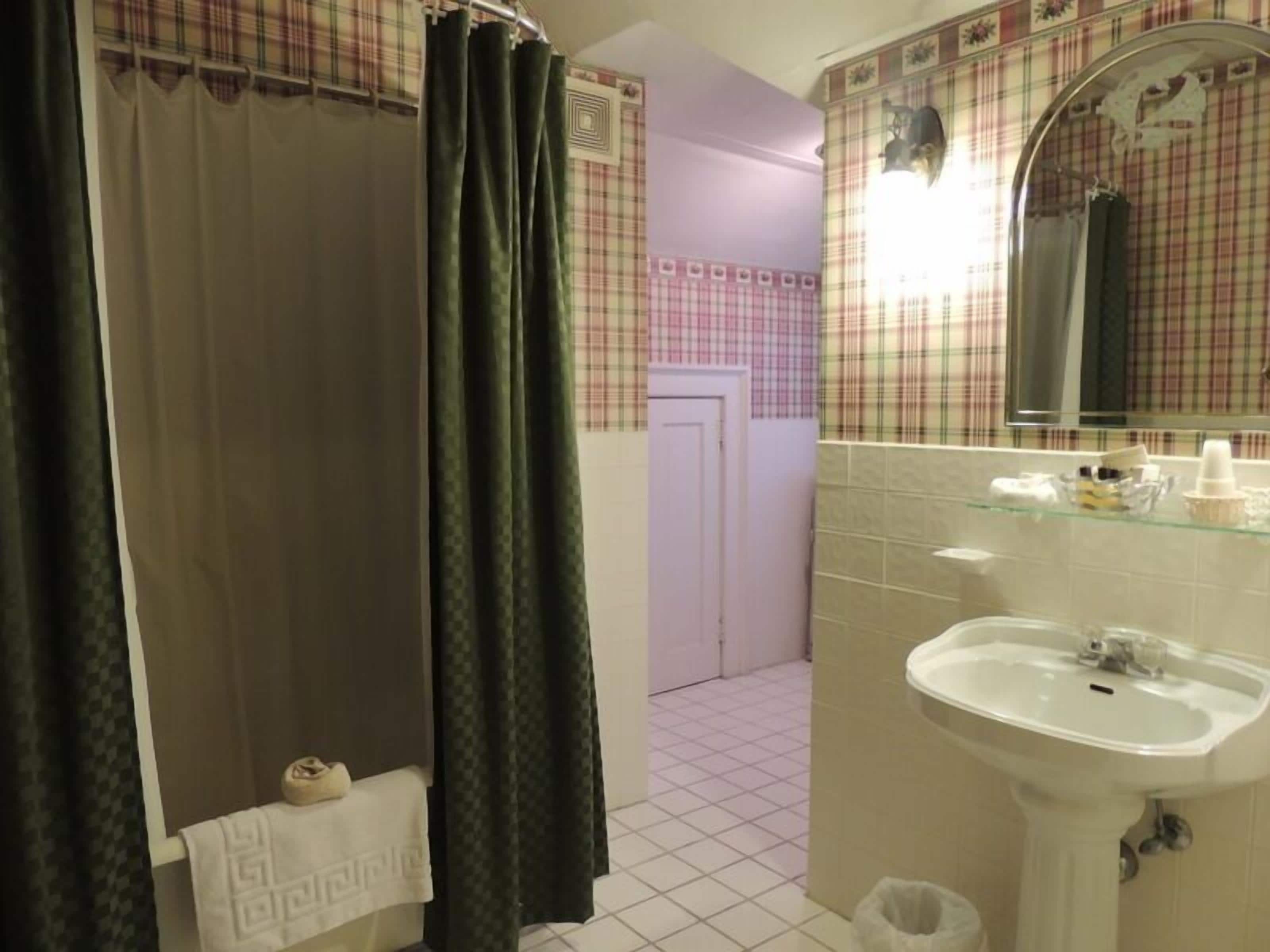 A bathroom with a sink, mirror, and shower curtain.