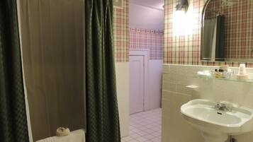 A bathroom with a sink, mirror, and shower curtain.