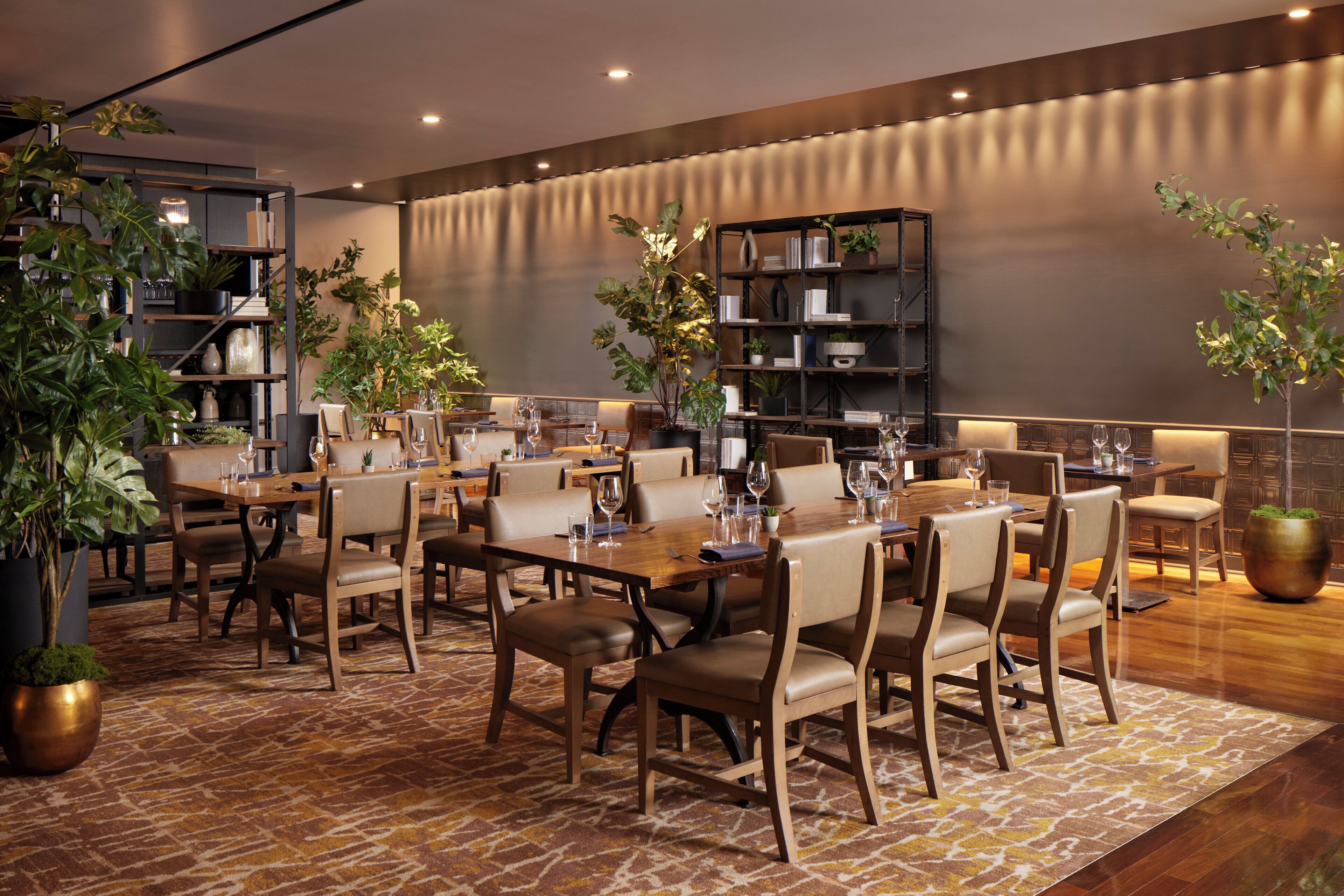 A modern dining area with multiple tables and chairs, surrounded by bookshelves and potted plants.
