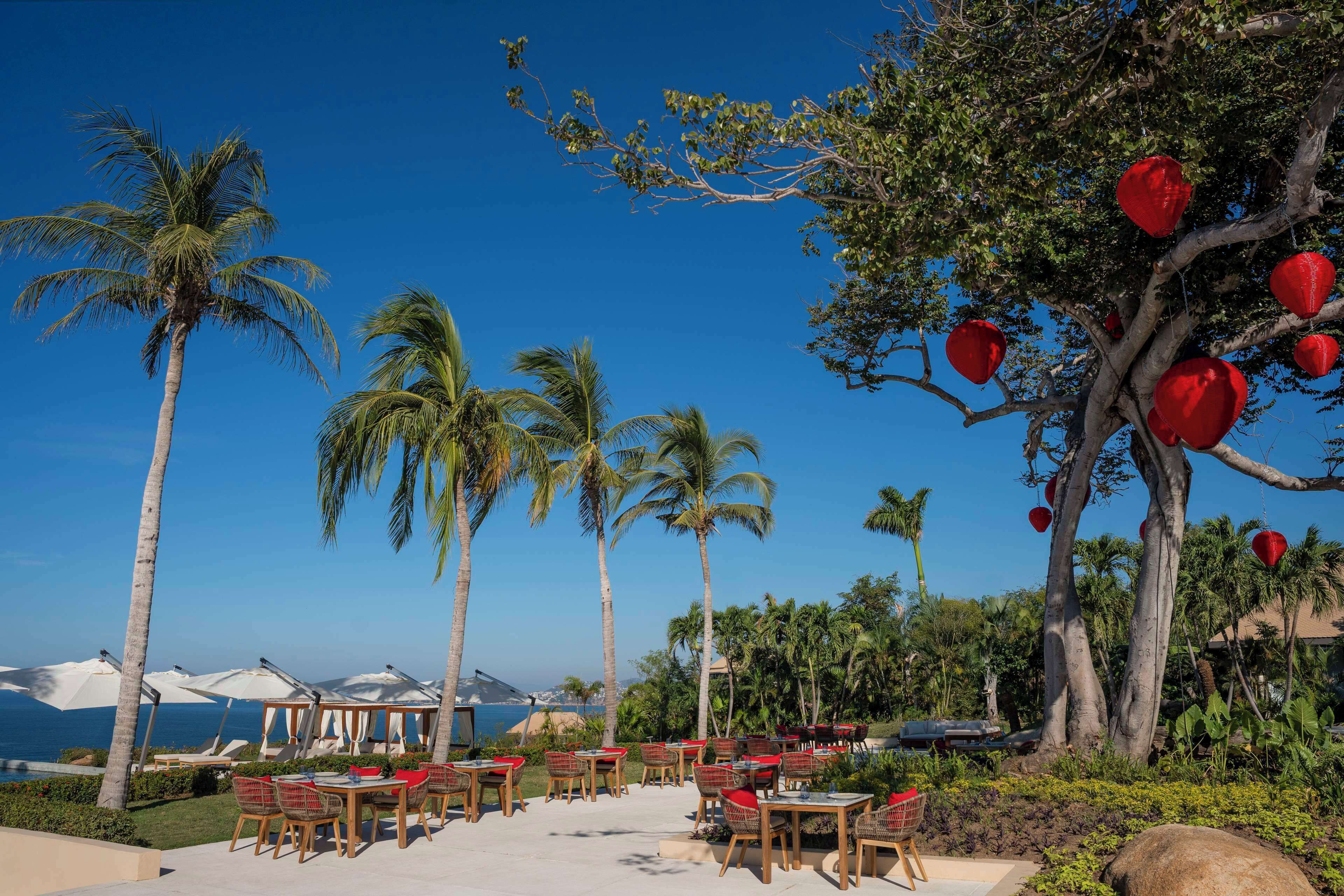 An outdoor dining area with tables and chairs, palm trees, and a view of the ocean.