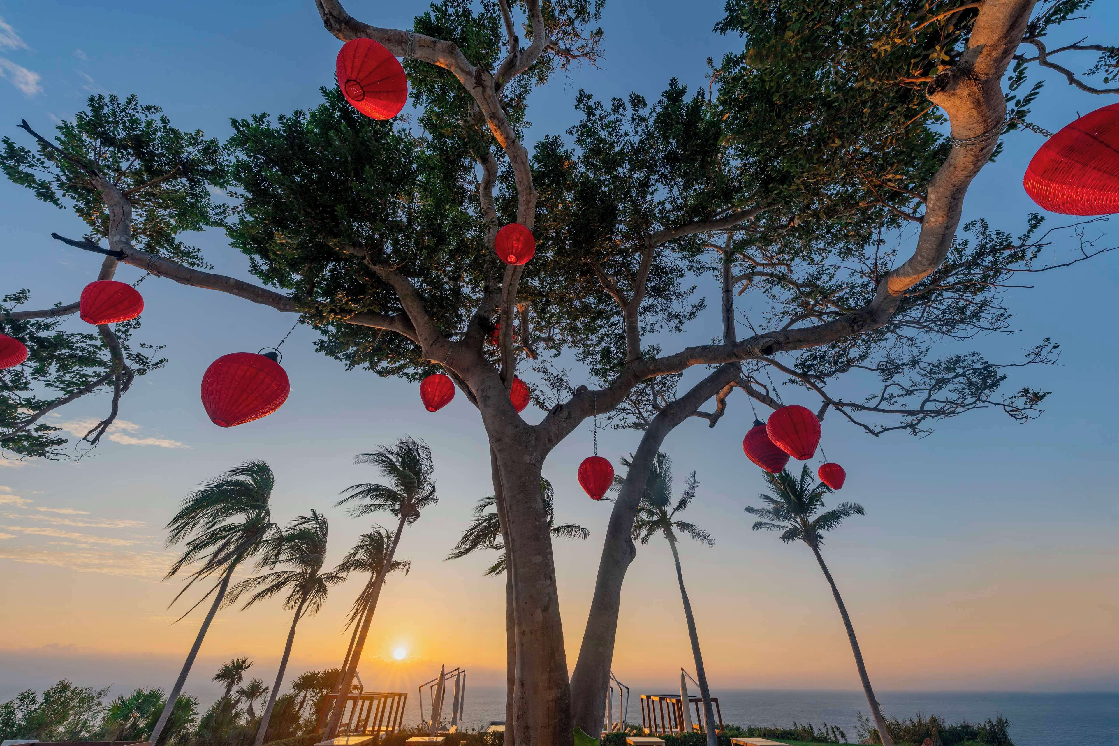 A tree with red lanterns hanging from its branches, palm trees, and a sunset in the background.