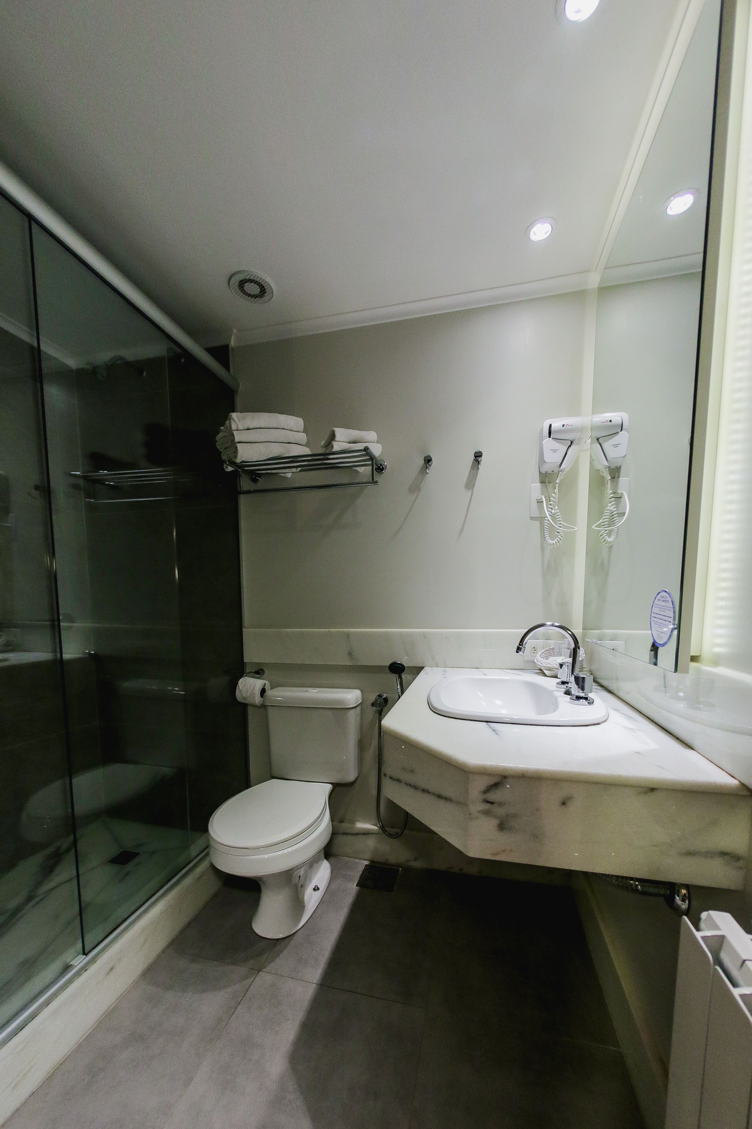 A modern bathroom with a glass shower enclosure, a toilet, a sink, and a hairdryer mounted on the wall.