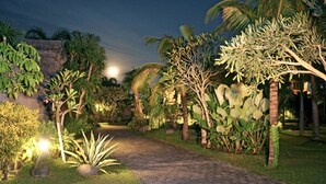 Een tuinpad met verschillende tropische planten en een stenen muur.