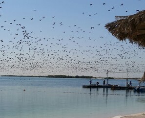 วิวจากที่พัก