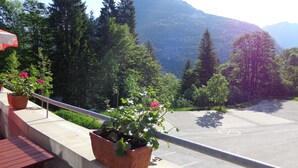 A balcony with potted plants and a view of a parking area and mountains. - JUFA Hotel Altaussee (Altaussee)