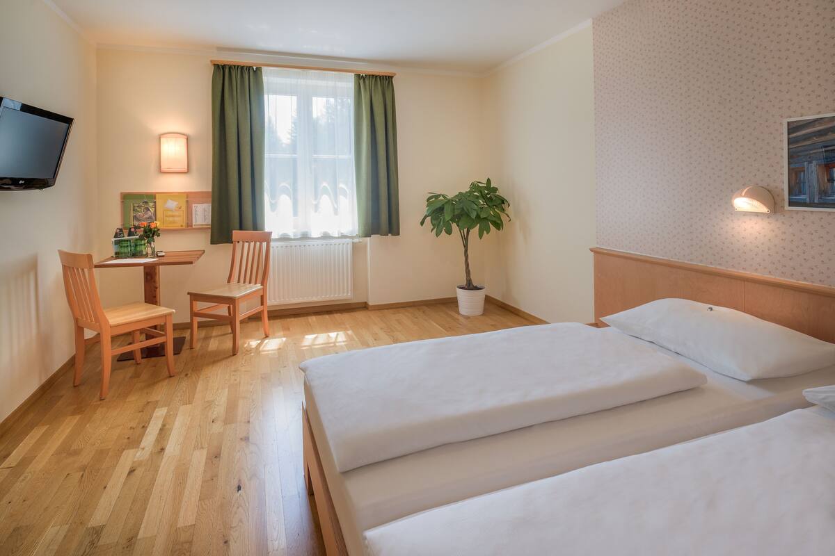 A hotel room with a wooden floor, a bed with white linens, a desk with a chair, a potted plant, and a television mounted on the wall.