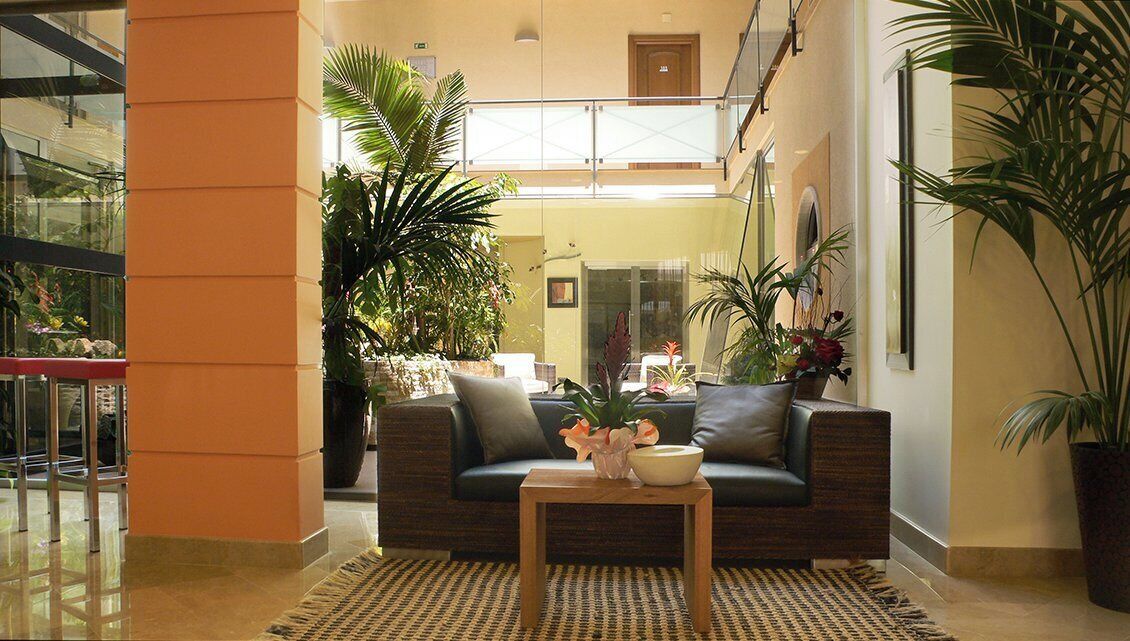 A lobby with a sofa, a coffee table, and potted plants.