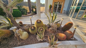 Un jardín de cactus con diversas especies de cactus y plantas de agave, un sendero de piedra y la entrada de un edificio con puertas de vidrio.