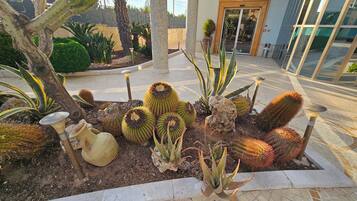 Garden view