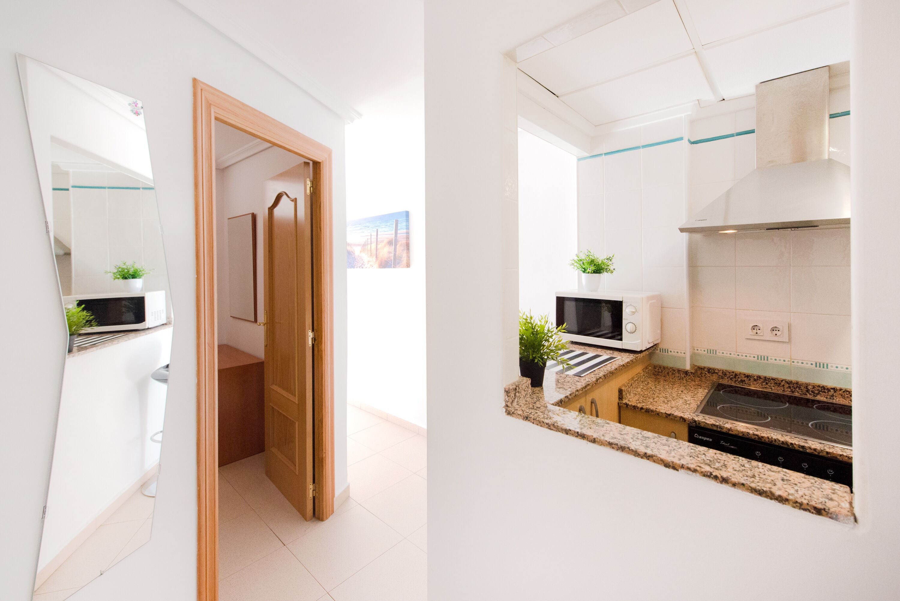 A modern kitchen with a built-in stove, microwave, and a small potted plant.