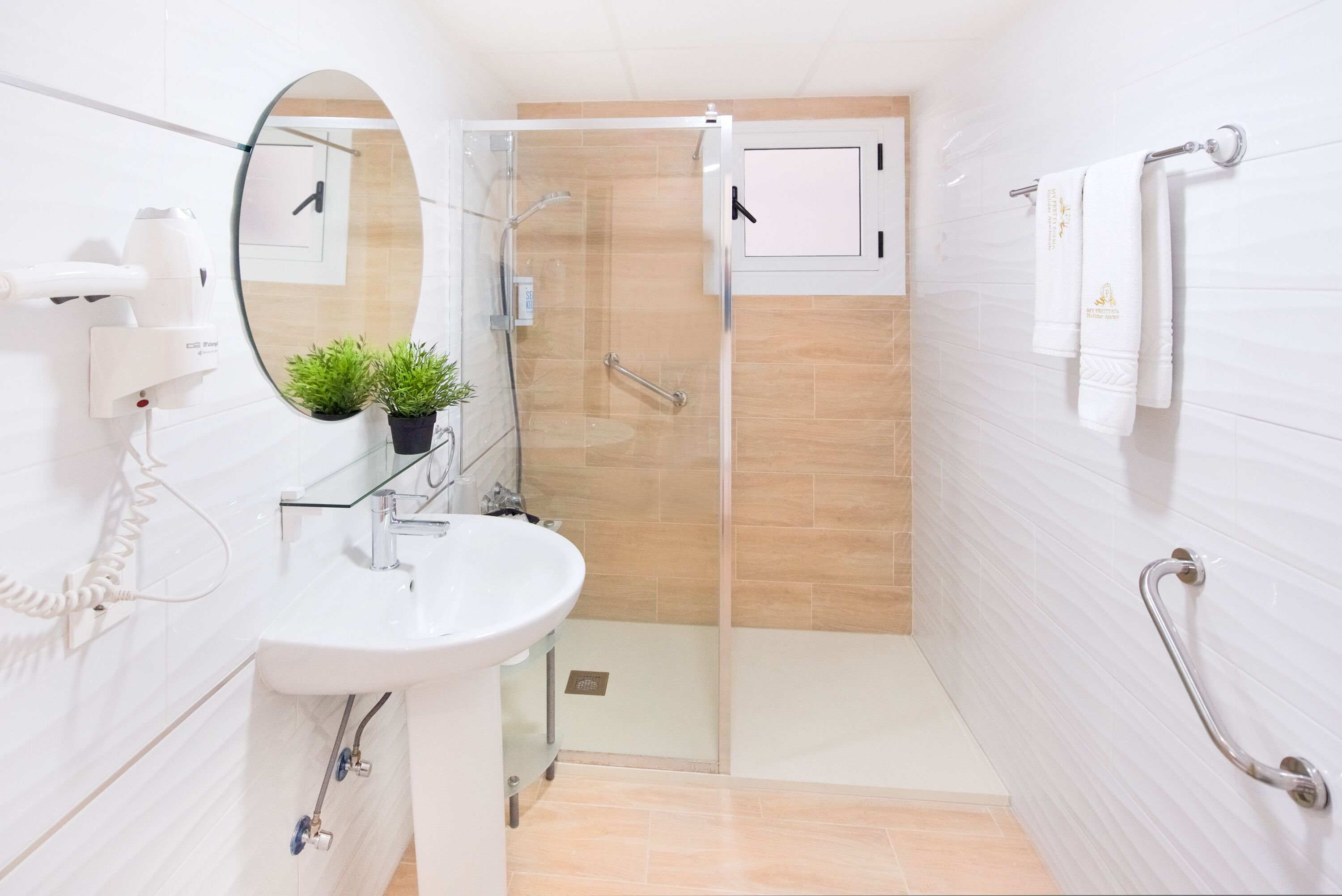 Une salle de bain moderne avec une douche à parois de verre, un lavabo blanc, un miroir et une plante en pot.