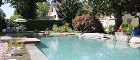 Seasonal outdoor pool, open 8:00 AM to 8:00 PM, pool loungers