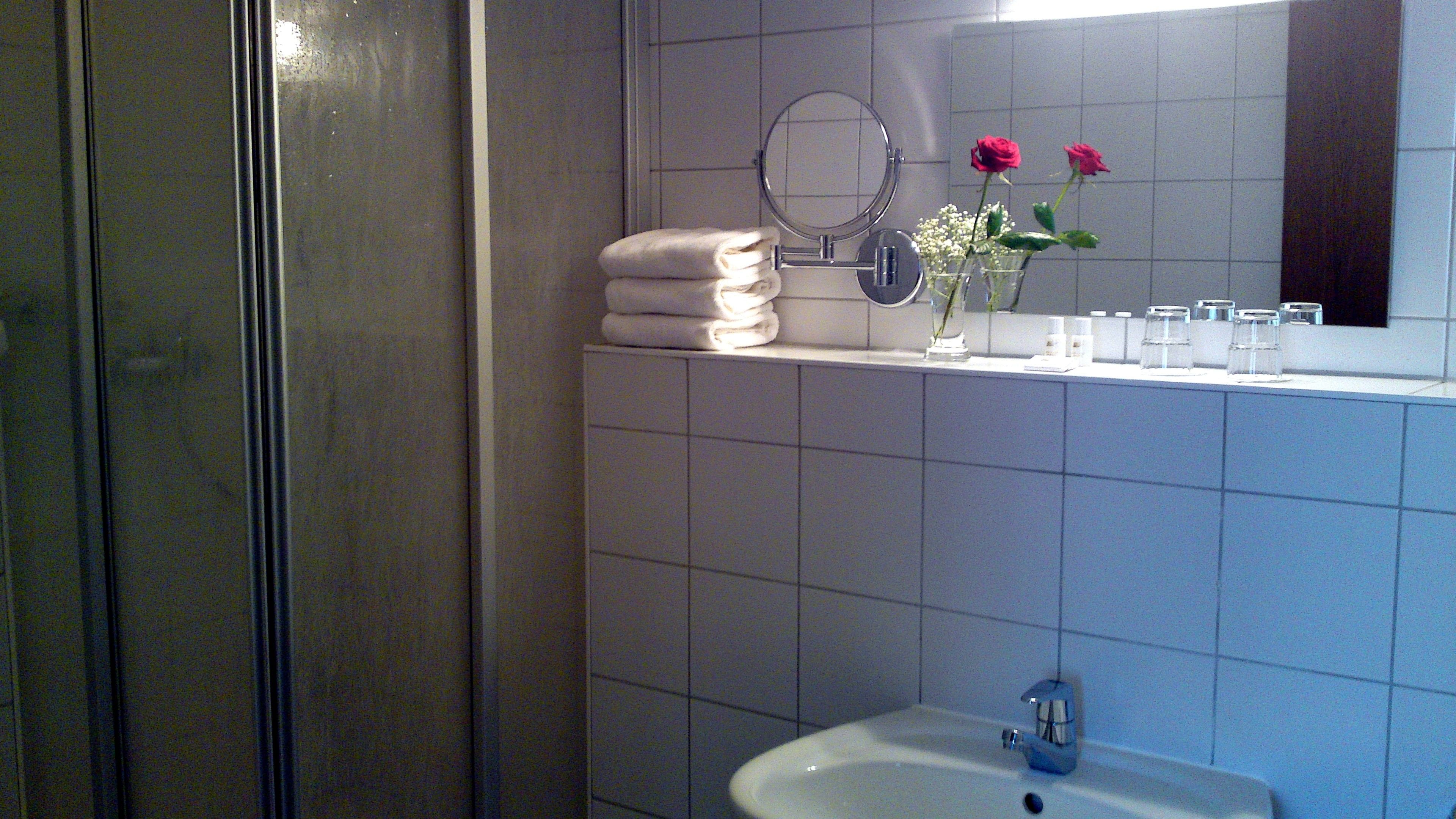 shower, free toiletries, hair dryer, towels