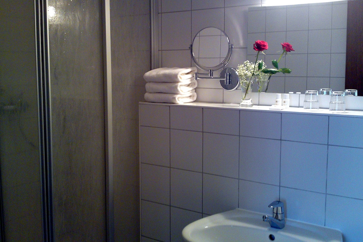 shower, free toiletries, hair dryer, towels