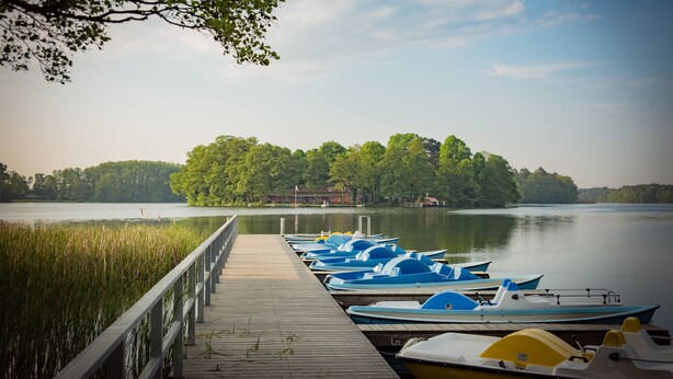 Eine hölzerne Anlegestelle mit mehreren angedockten Booten, ein ruhiger See und eine bewaldete Insel im Hintergrund.