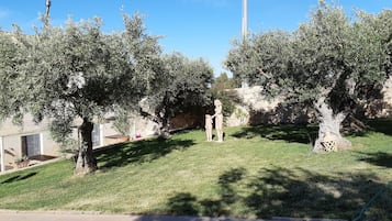 Jardín