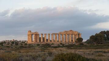 Un site archéologique ancien, avec des colonnes, situé dans un paysage naturel parsemé d’arbres et d’arbustes.