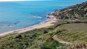Un paisaje costero con playa, terreno rocoso y un viñedo.
