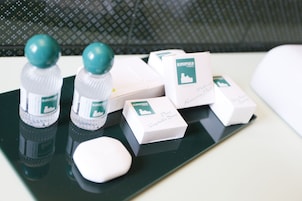 Deluxe Double Room | Bathroom amenities | Shower, free toiletries, hair dryer, bidet