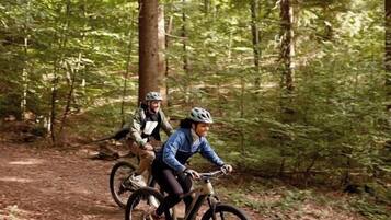 Two people riding bicycles on a forest trail.