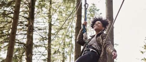 A person on a rope course in a forest.