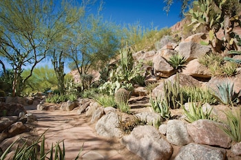 View from property looking out at The Canyon Suites at The Phoenician, Luxury Collection