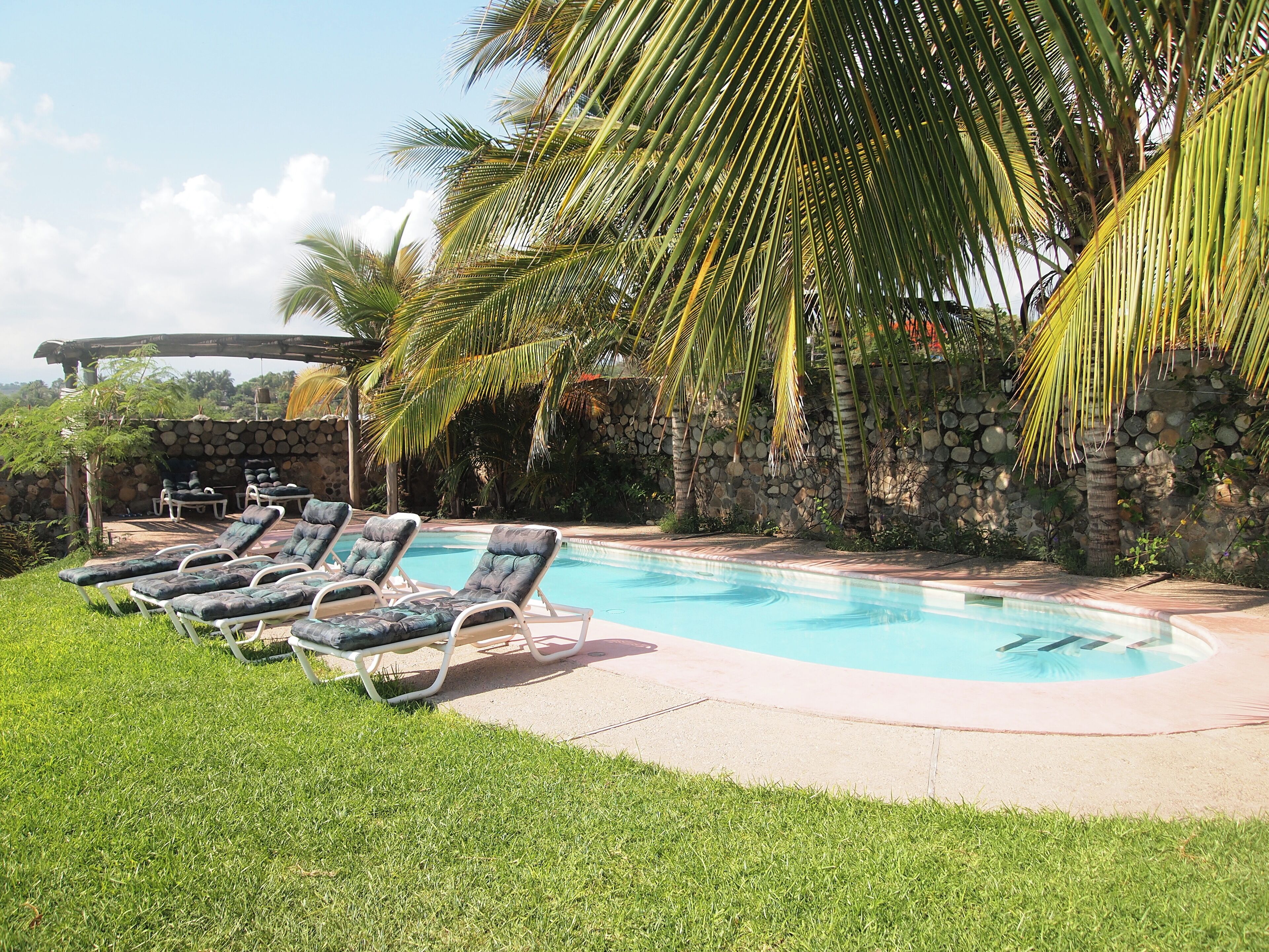 A pool area with lounge chairs and palm trees.
