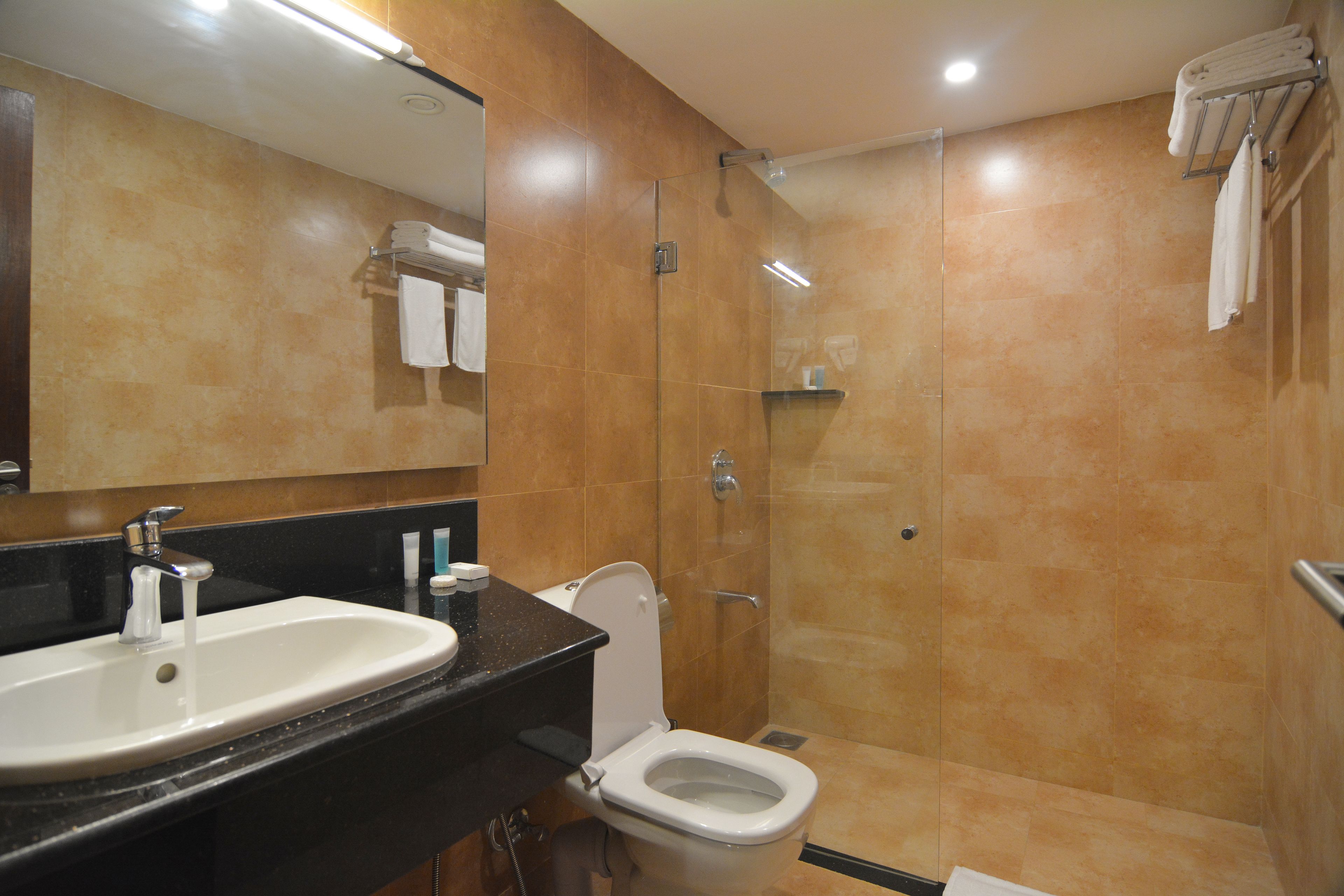 A bathroom with a sink, toilet, and glass shower enclosure.