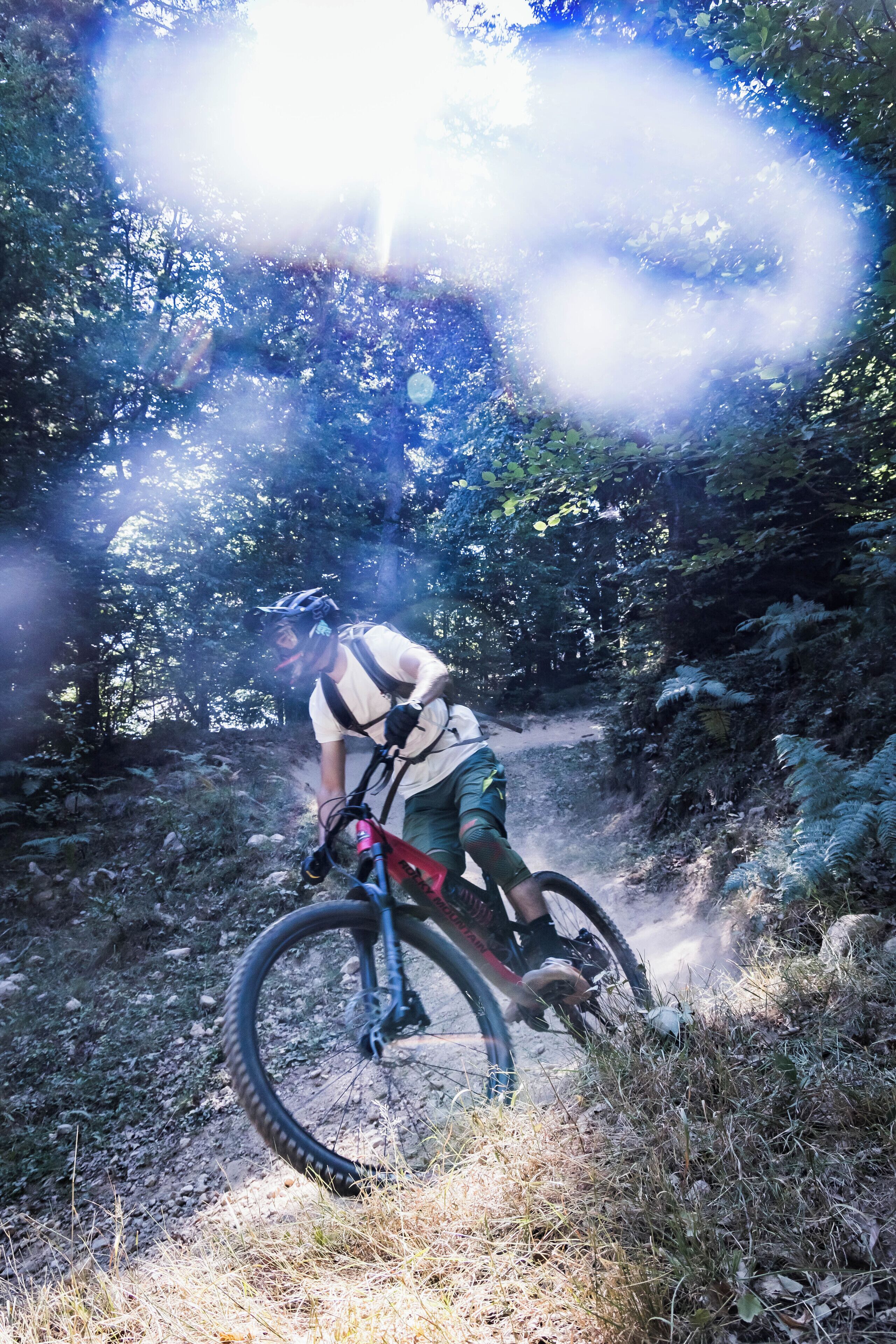 Une personne fait du vélo tout terrain sur un sentier accidenté, entourée d’arbres.