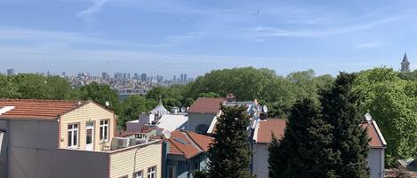 A residential area with multiple buildings, some with satellite dishes, and a distant city skyline.