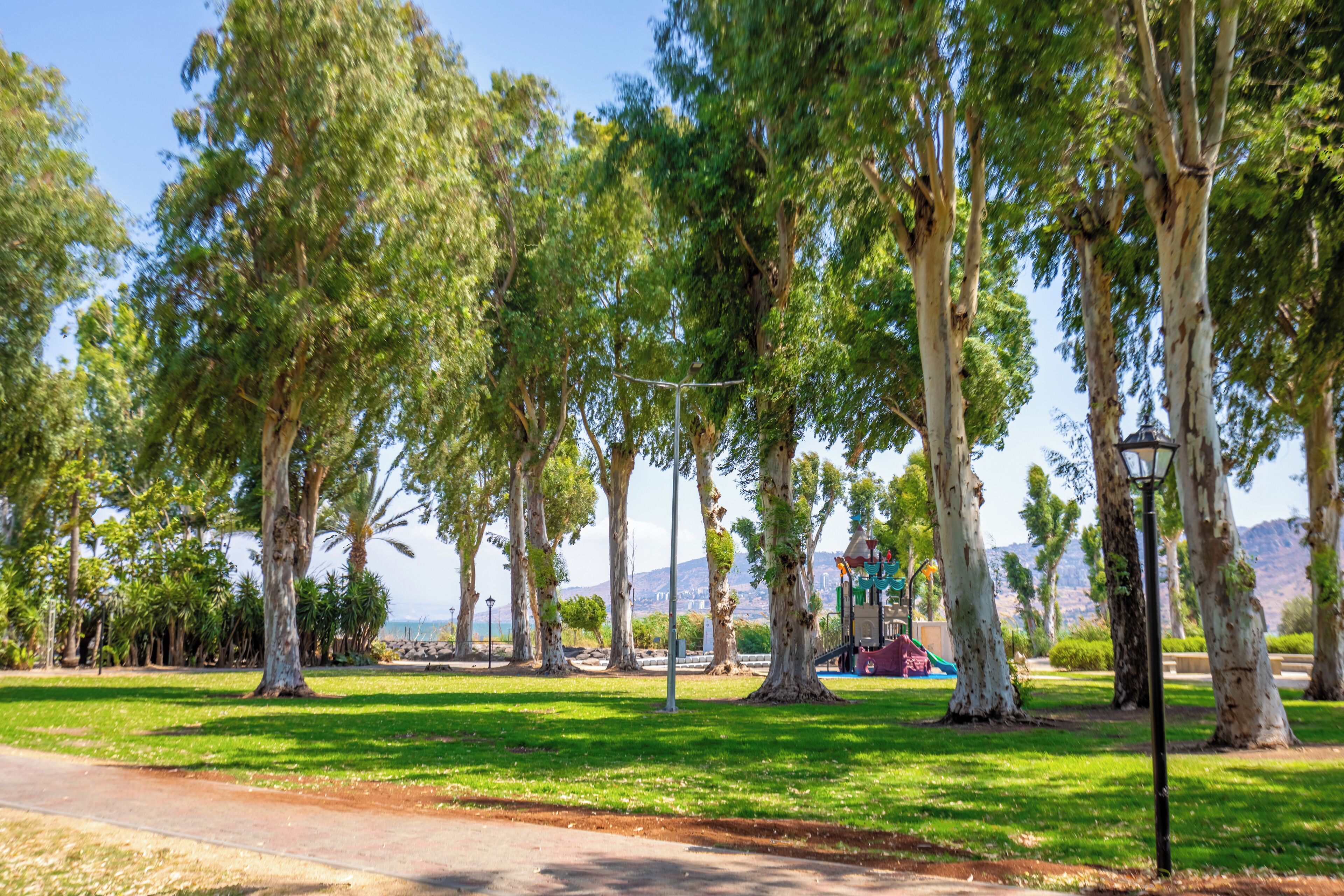Un parque con árboles, un área de juegos y cielo despejado.