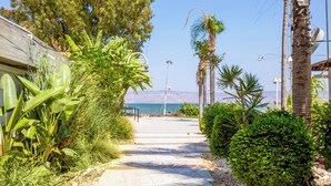 Un sendero que lleva a una playa con palmeras y vegetación.