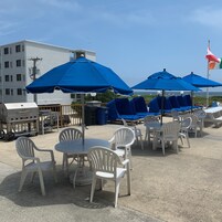 BBQ/野餐场地