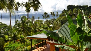 A tropical resort with a wooden deck, a covered seating area, and lush greenery including palm trees and banana plants. - Daku Resort (Savusavu)