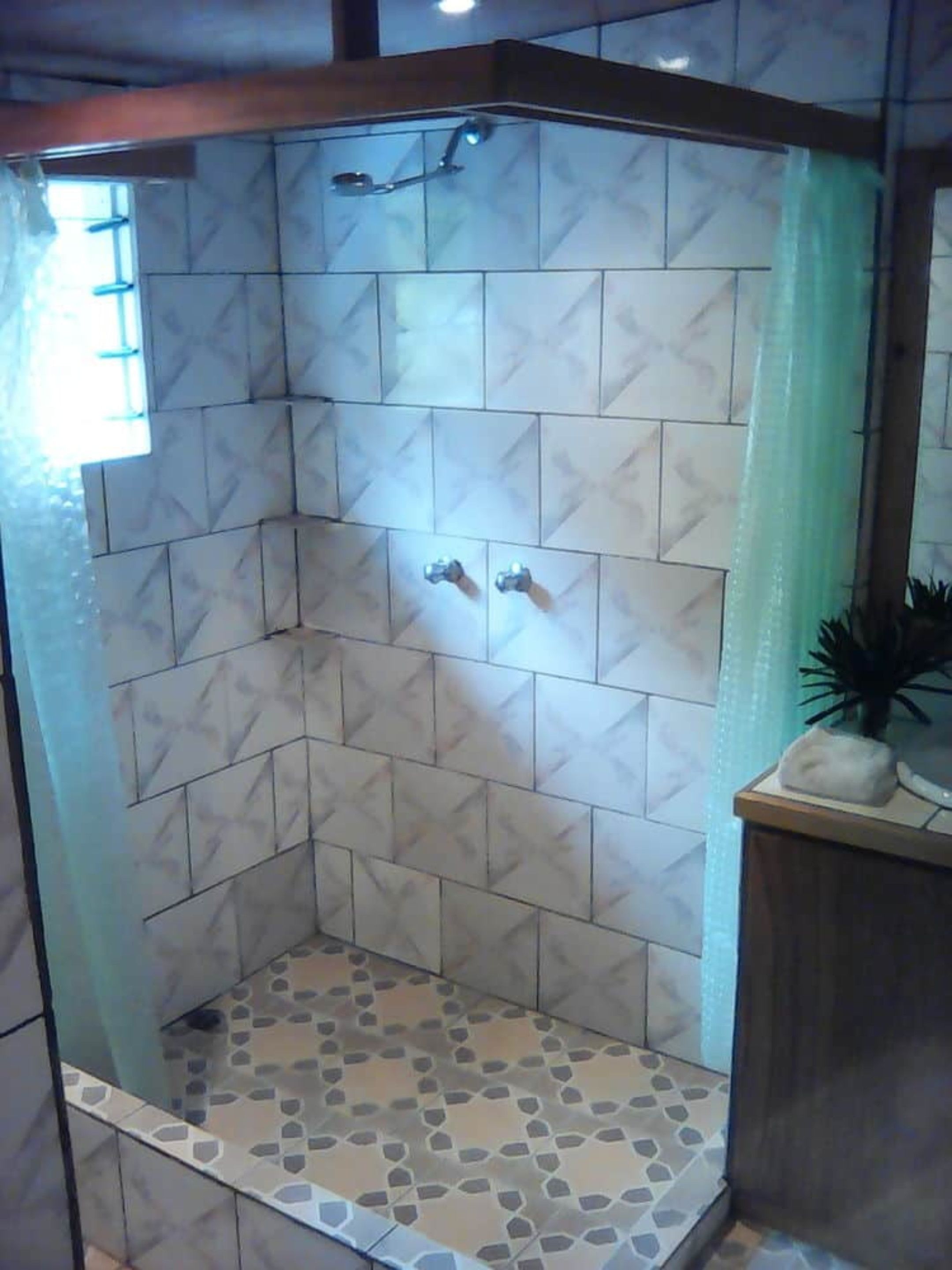 Un espace douche avec un mur et un sol carrelés, une pomme de douche et une petite plante posée sur une étagère en bois.