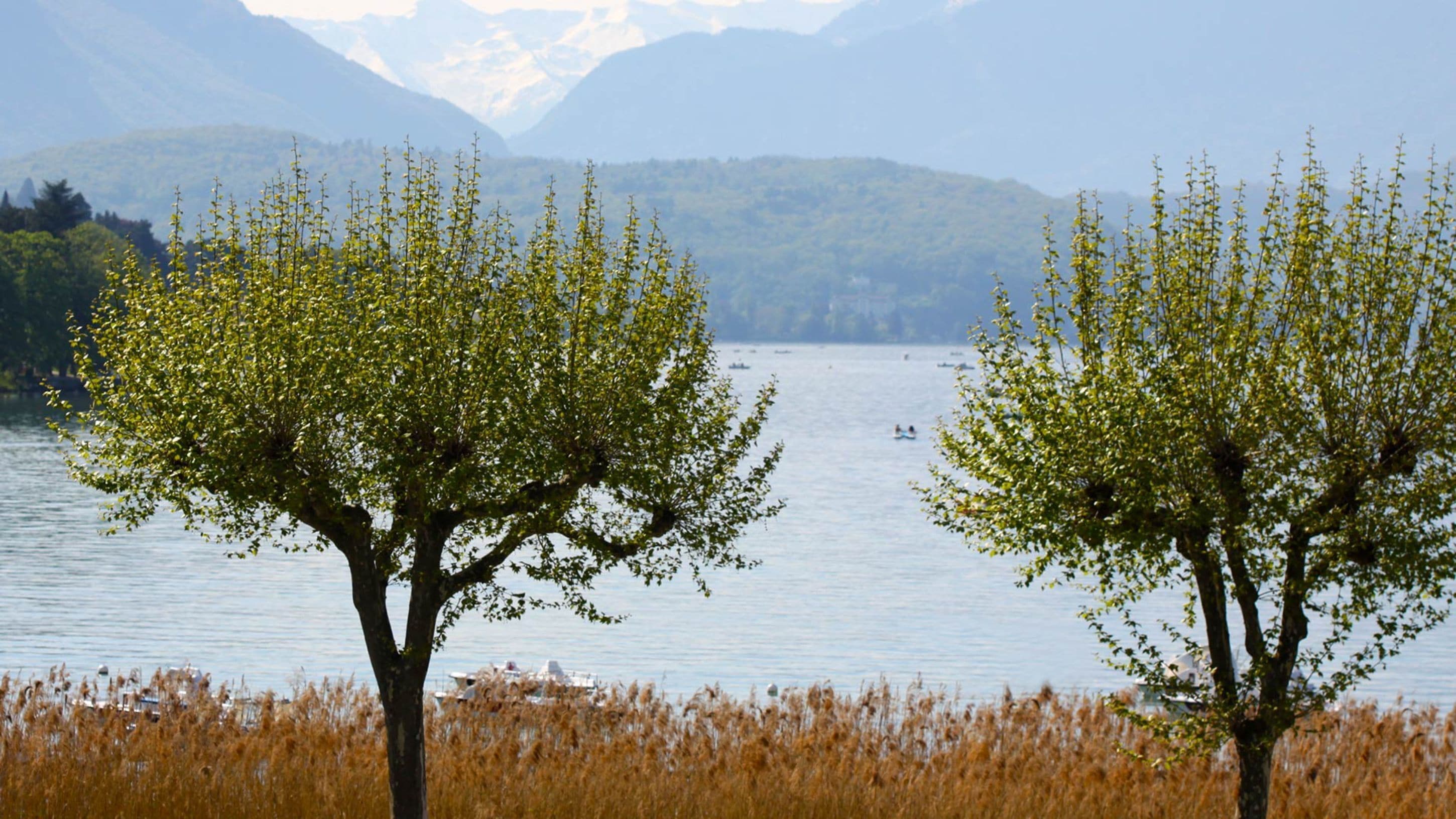 standard double room, lake view (bâtiment principal ) | view from room
