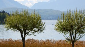 标准双人房, 湖景 (Bâtiment principal ) | 客房景观