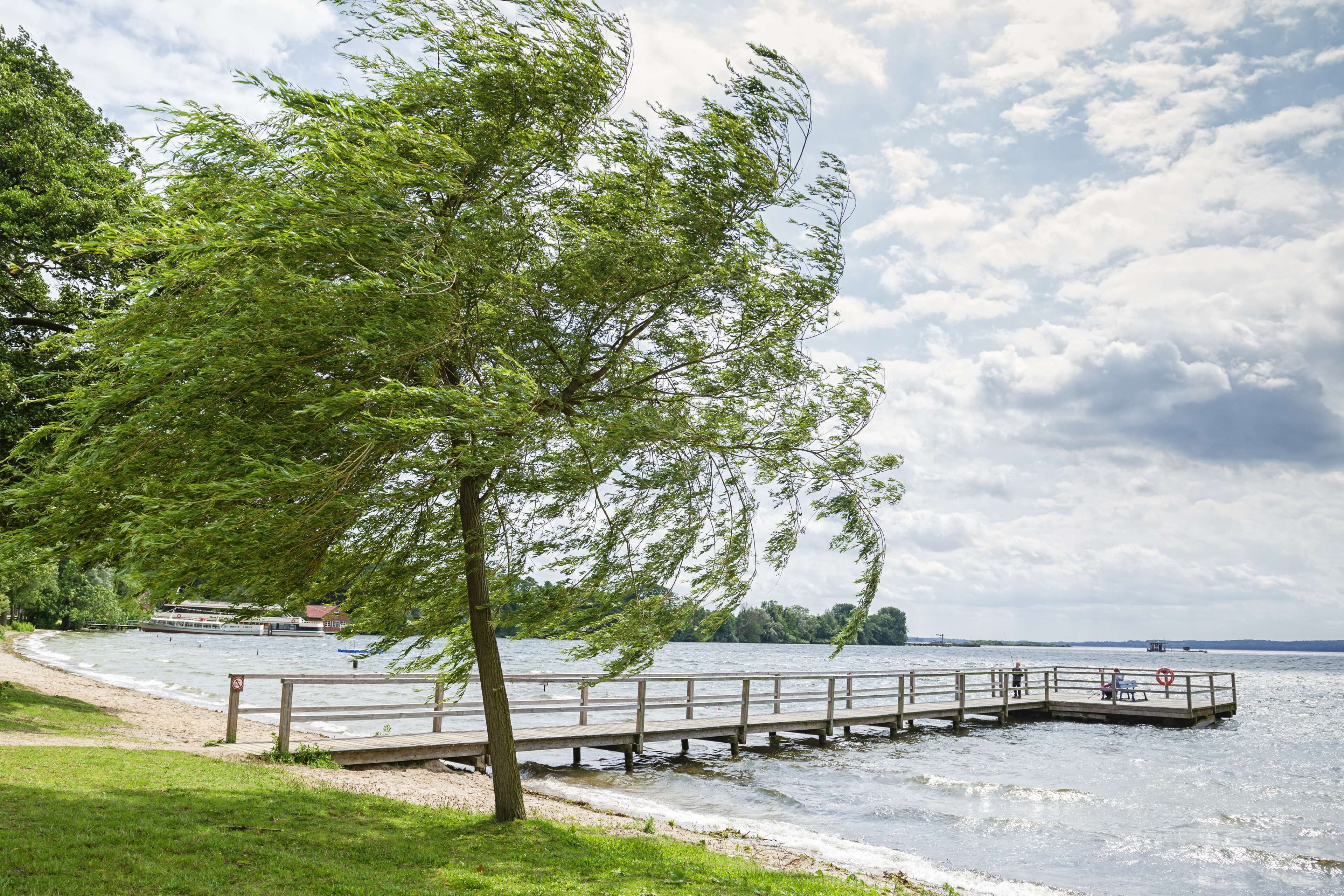 Photo - Hotel Plöner See by Tulip Inn