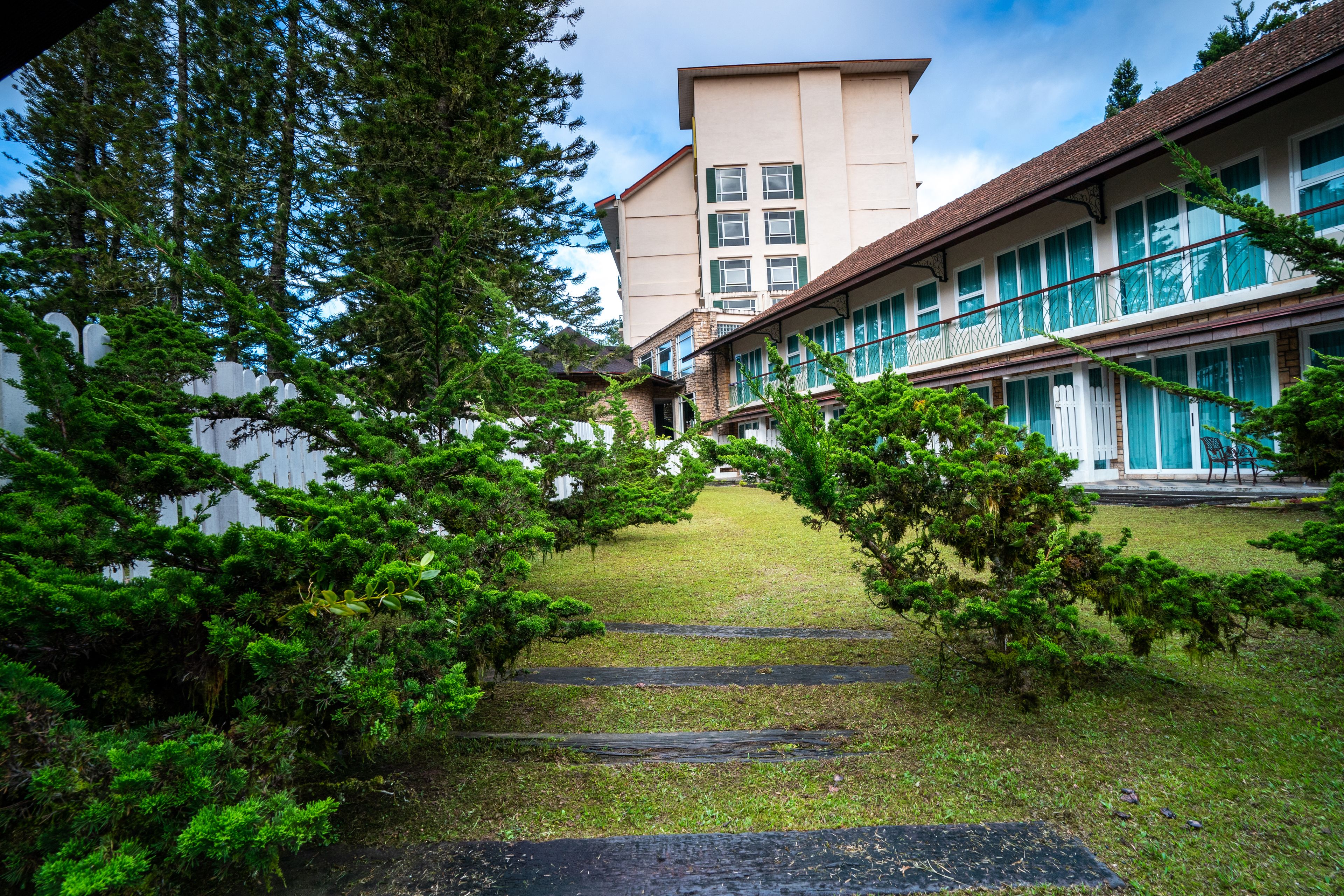 A pathway leading to a building with a modern design, surrounded by lush greenery and trees.