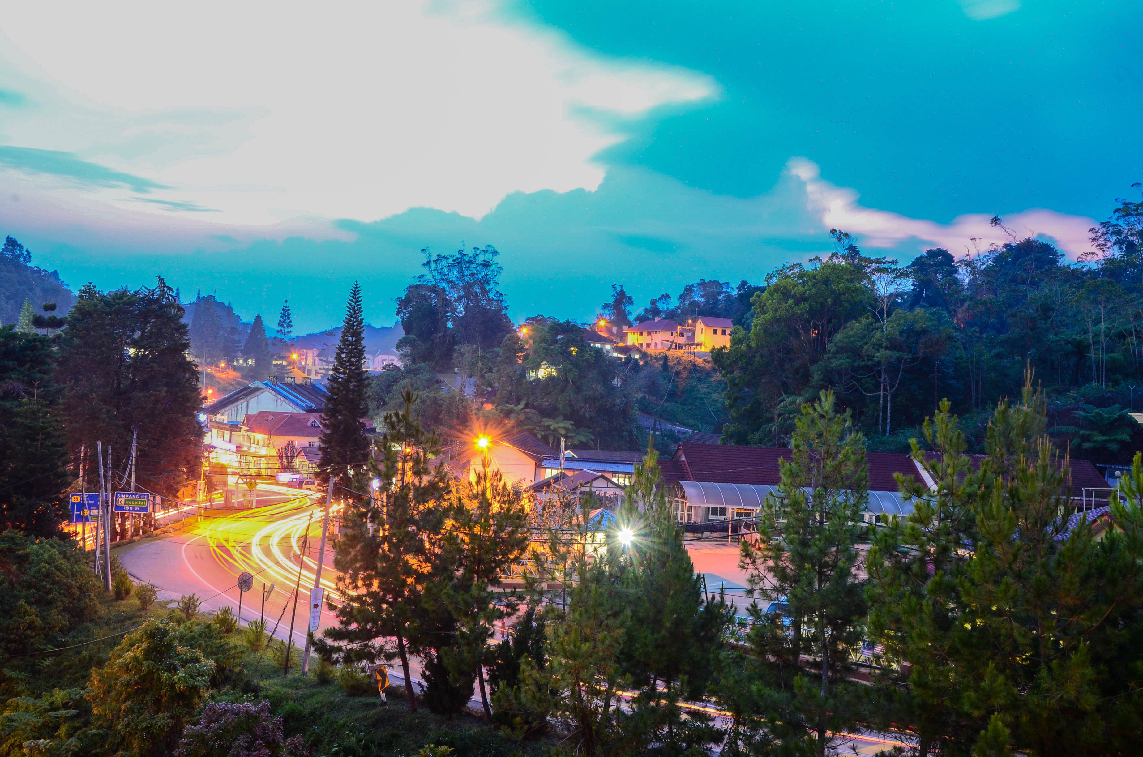 A town with a curved road, buildings, and trees.