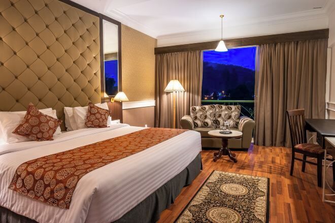 Minibar, in-room safe, iron/ironing board, rollaway beds